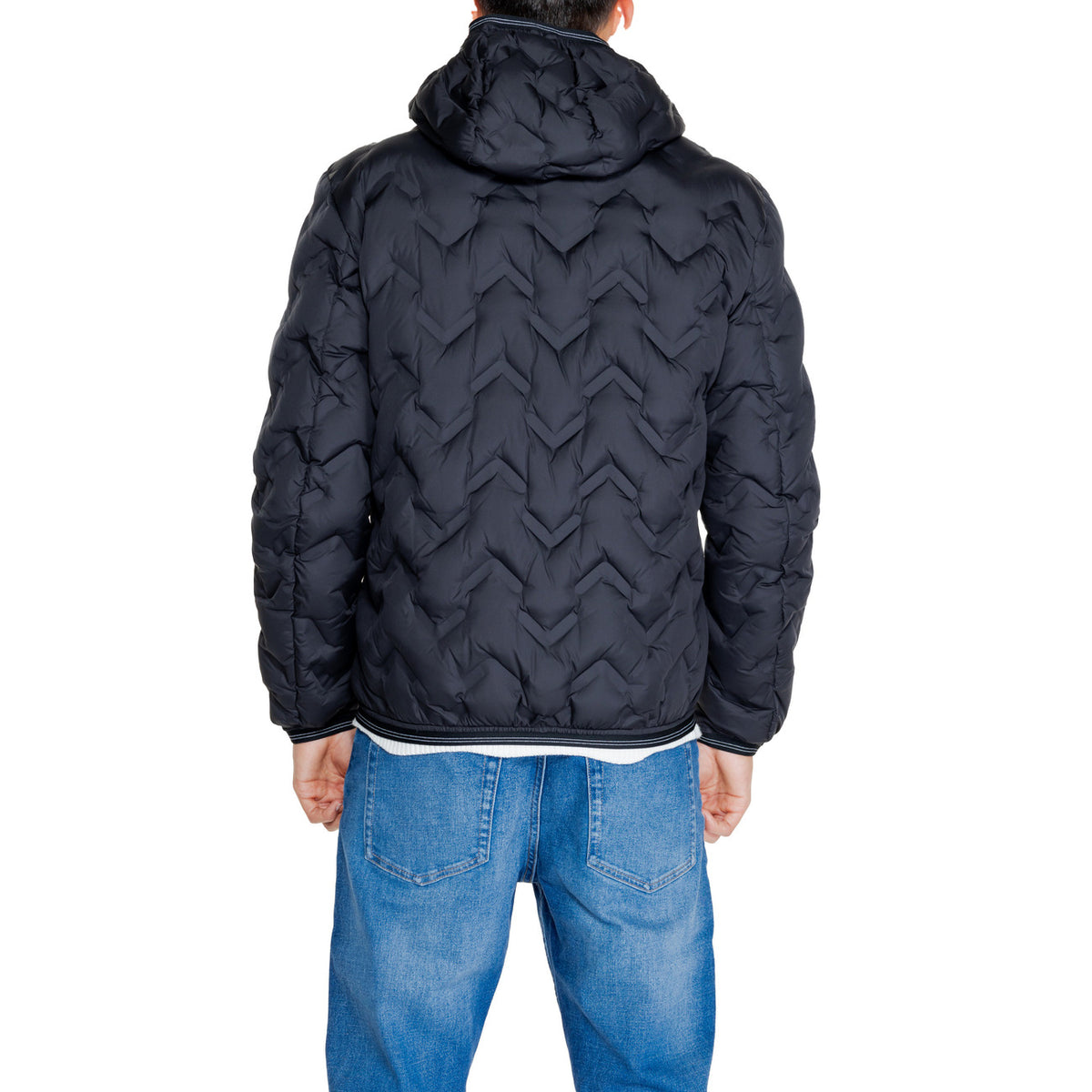 Blauer. Homme Vestes