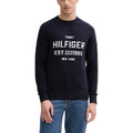 Tommy Hilfiger Homme Pulls