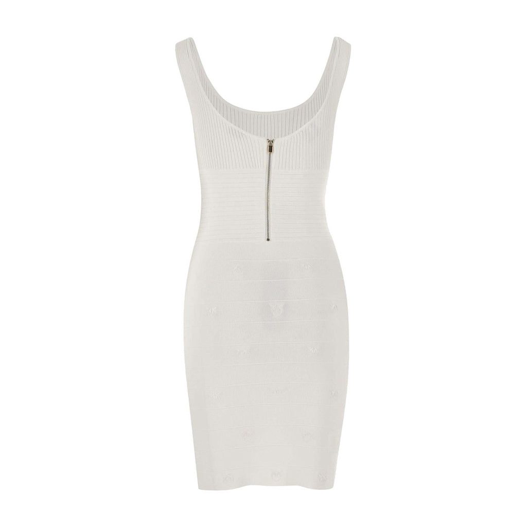 Pinko Femme Robes