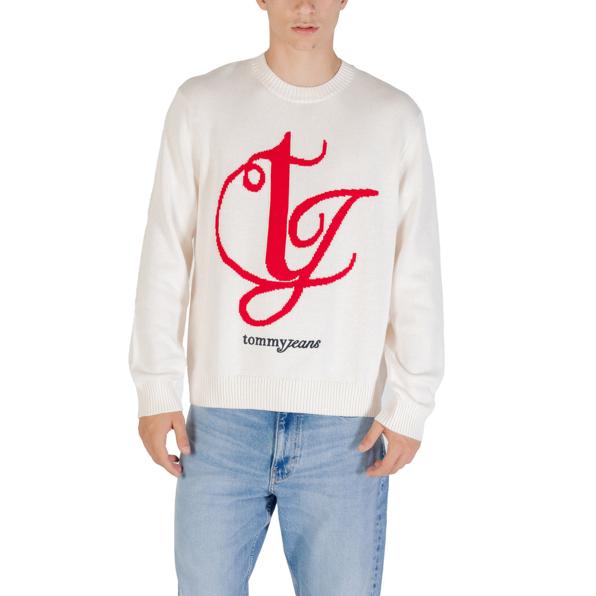 Tommy Hilfiger Jeans Homme Pulls