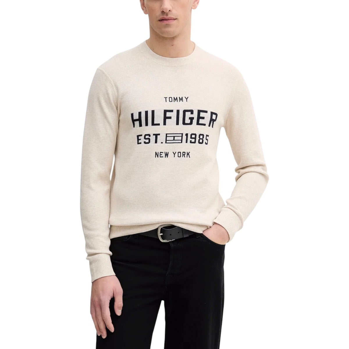Tommy Hilfiger Homme Pulls