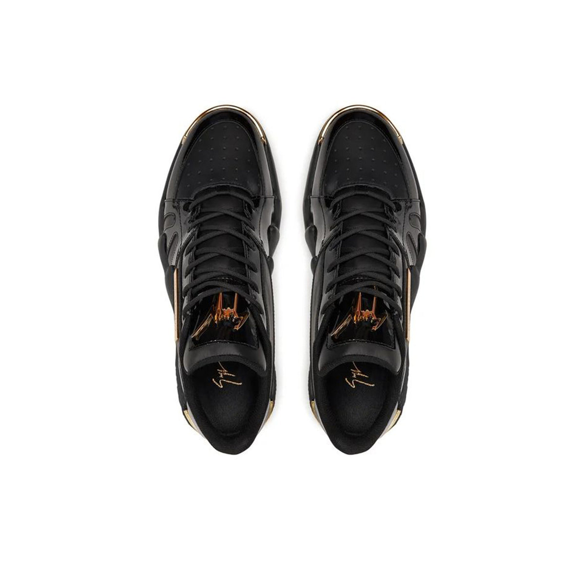 Giuseppe Zanotti  Homme Baskets
