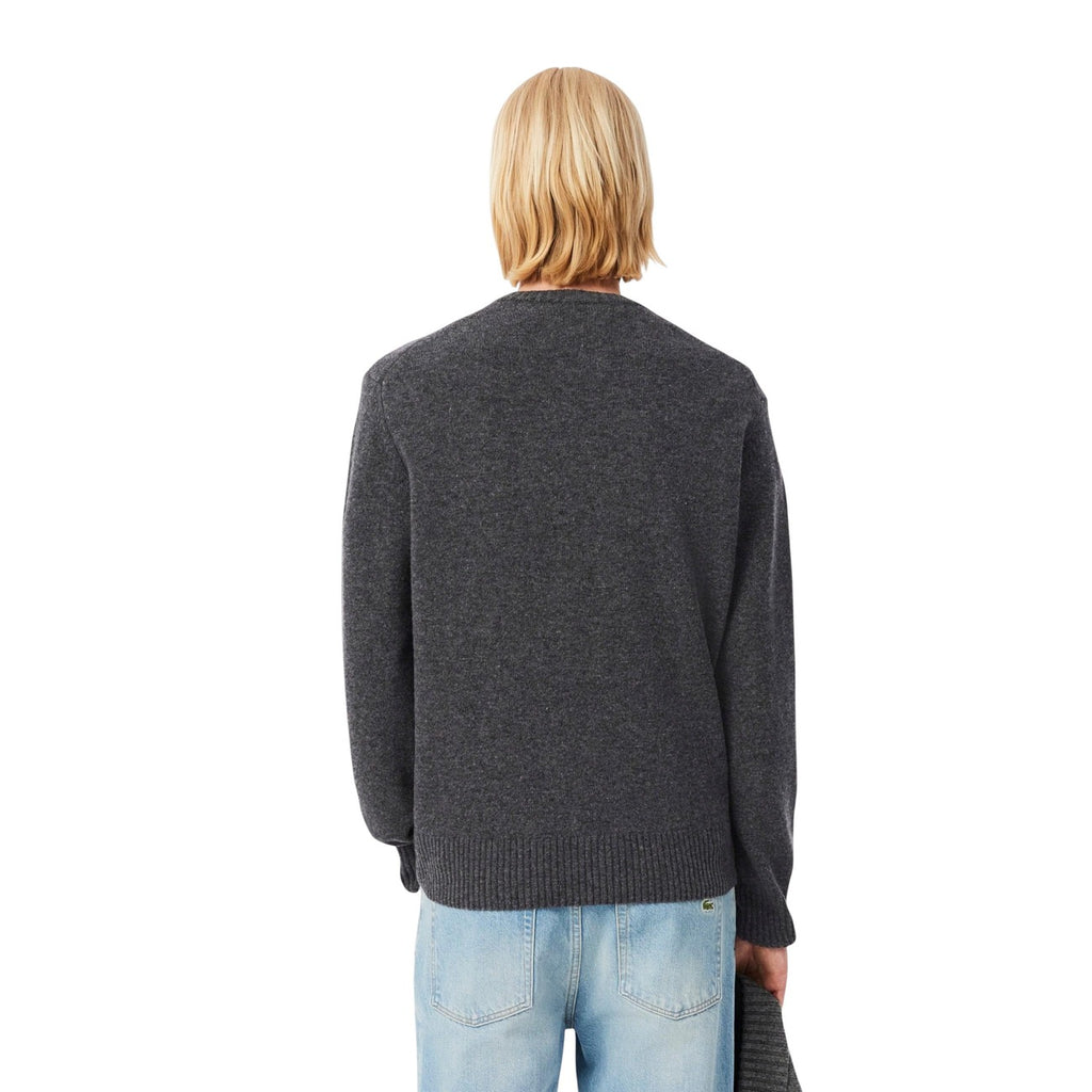Lacoste Homme Pulls