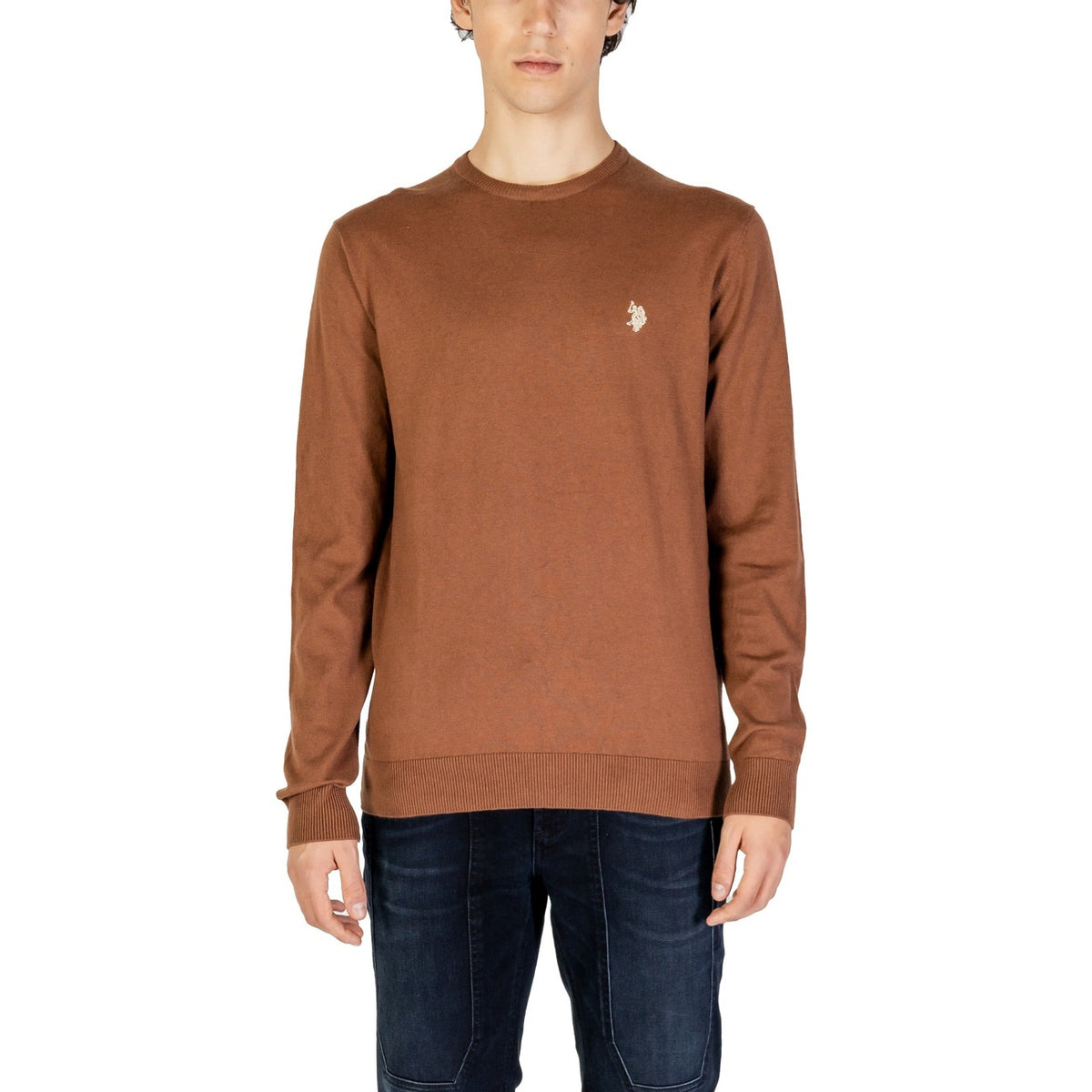 U.s. Polo Assn. Homme Pulls