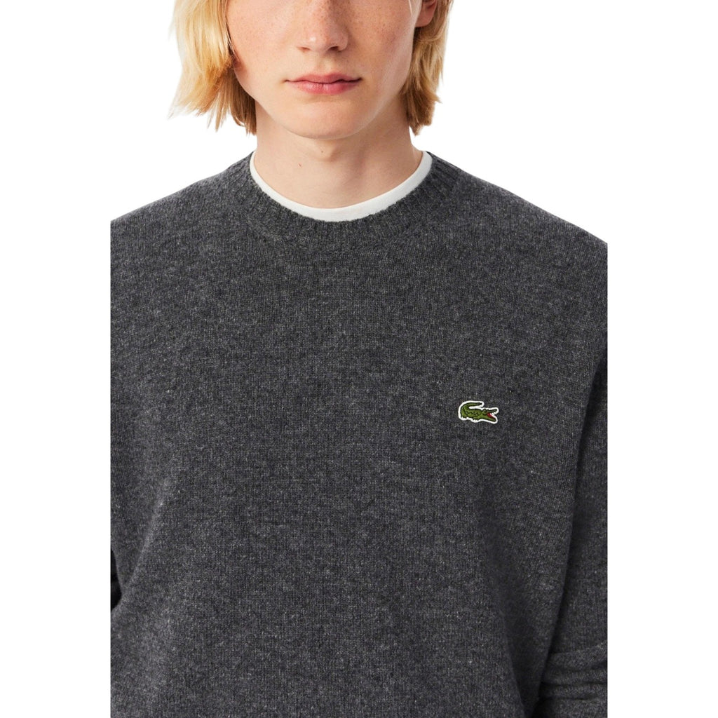 Lacoste Homme Pulls