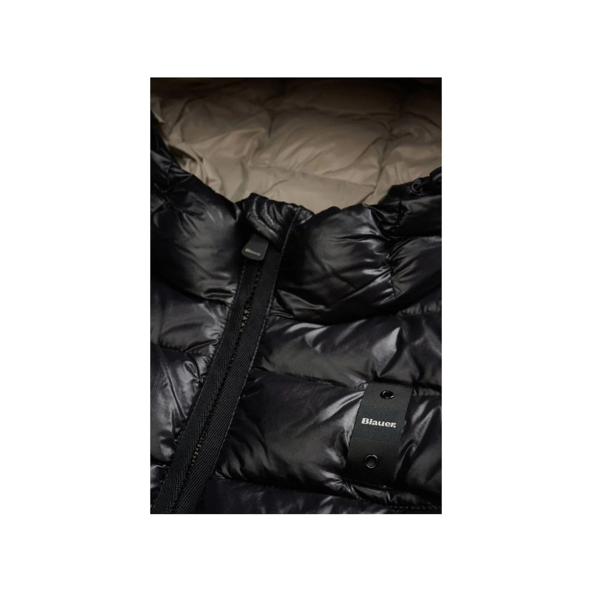 Blauer. Femme Jaquettes