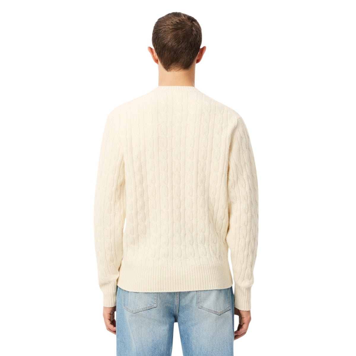 Lacoste Homme Pulls
